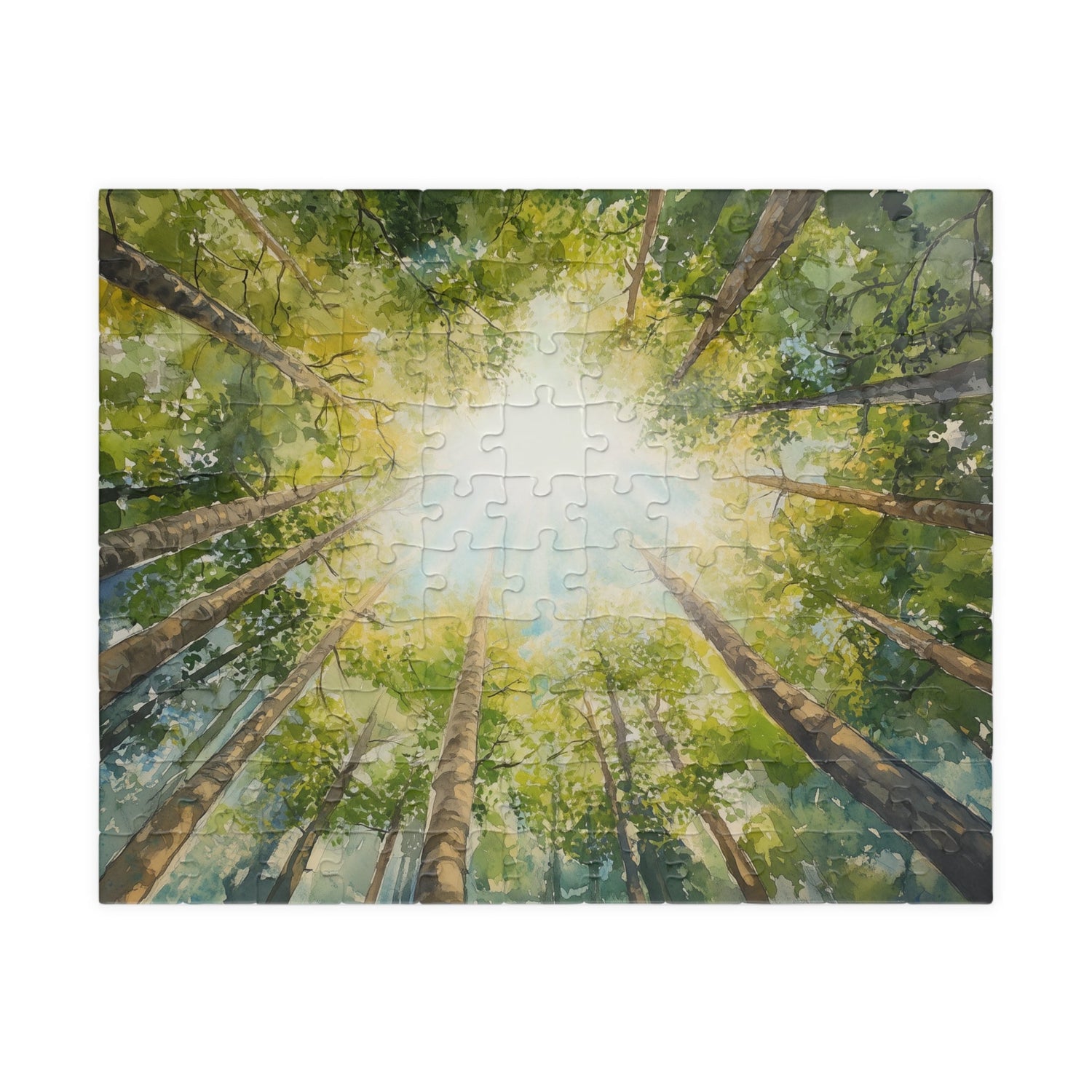 Enchanted Forests
